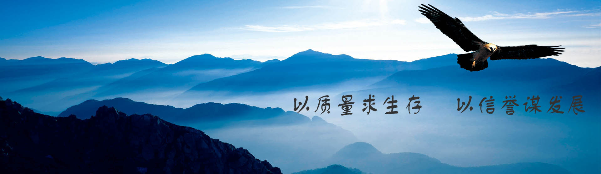 首页大图